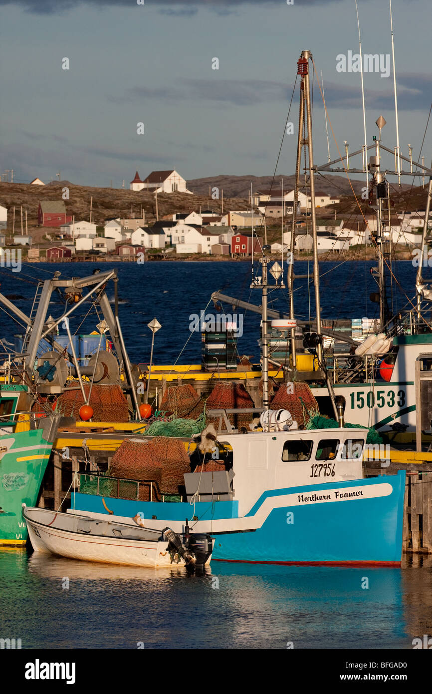 Los barcos de pesca de centolla, Joe Batt el brazo, la isla de Fogo, Newfoundlad y Labrador, Canadá Foto de stock