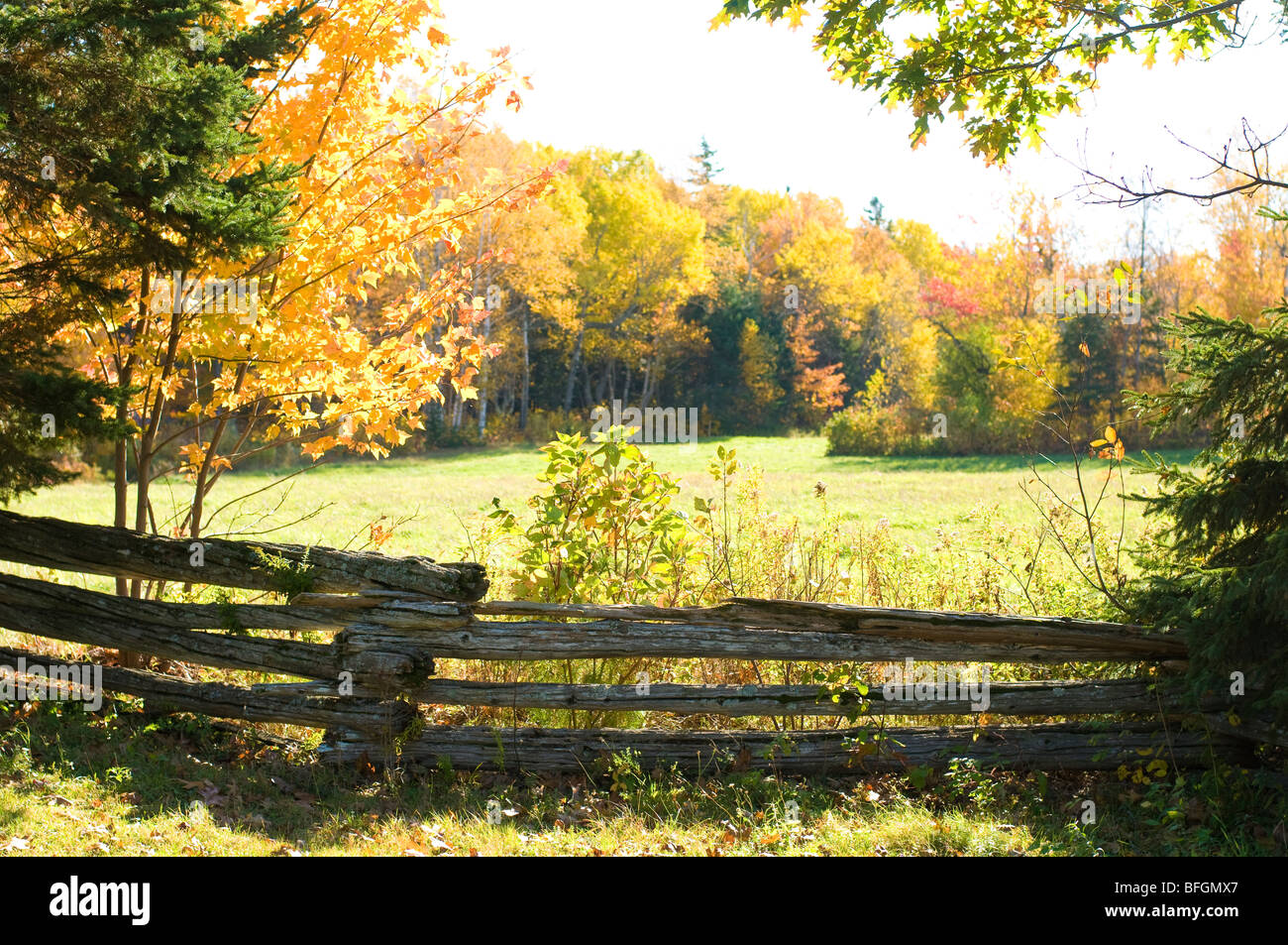 El cerco y el follaje de otoño en el asentamiento histórico Kings Landing, Fredericton, New Brunswick Foto de stock