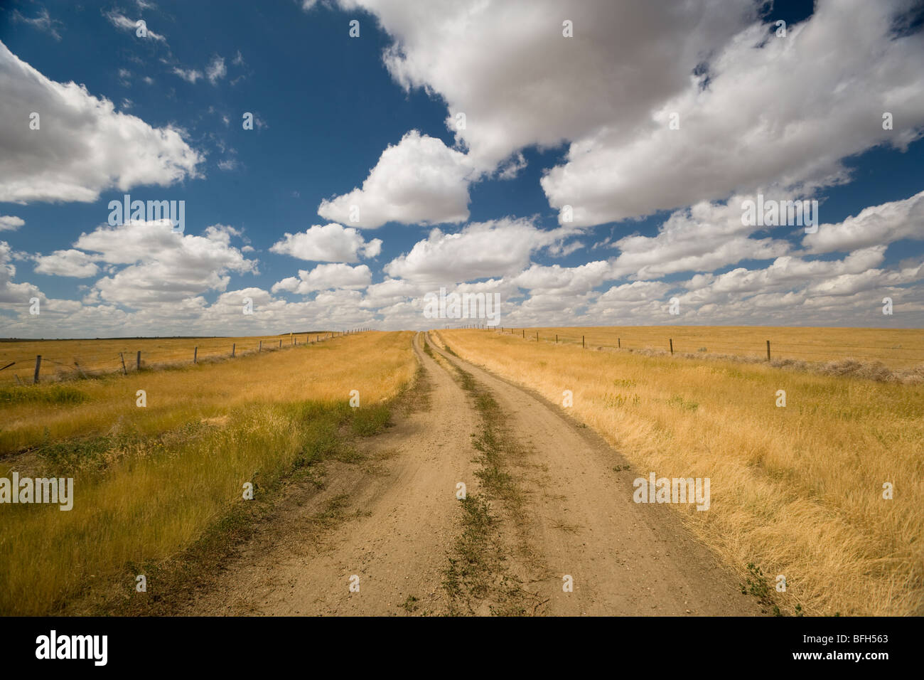 Qu'appelle Trail, Cypress Hills, Saskatchewan, Canadá Foto de stock