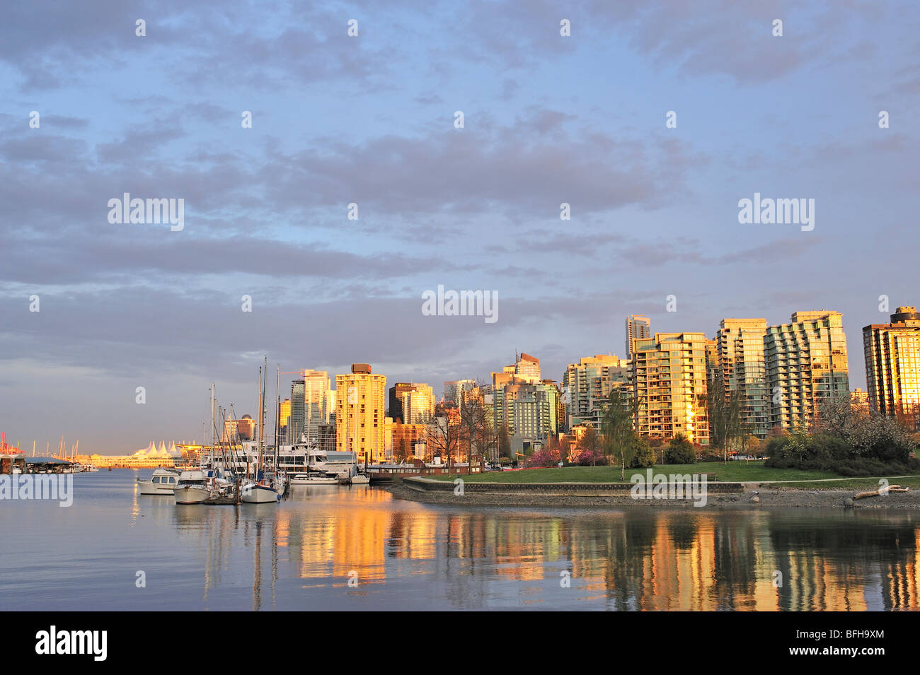 Coal Harbour mirando hacia el centro de la ciudad, con Devoniano Harbor Park, Vancouver, British Columbia, Canadá Foto de stock