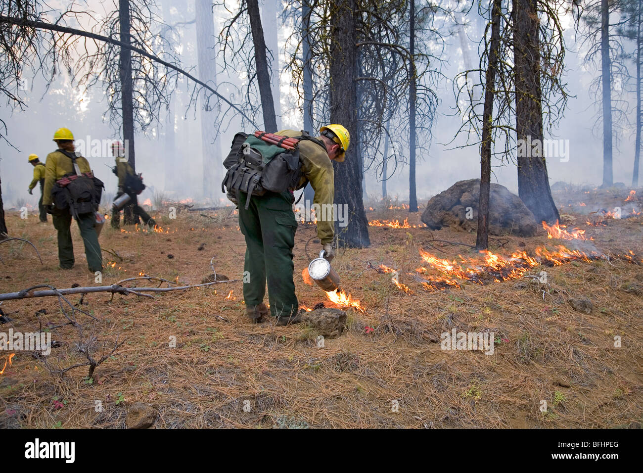 El Servicio Forestal de los Estados Unidos equipos de lucha contra incendios ayudan a controlar una quema controlada o prescrita Foto de stock