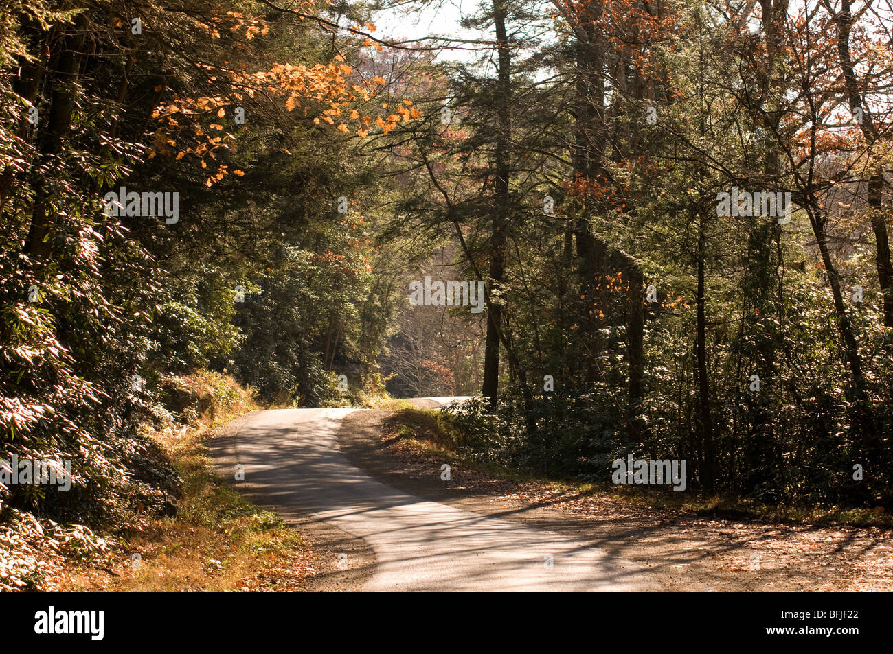 Colores de otoño en la carretera rural. Virginia Occidental Foto de stock