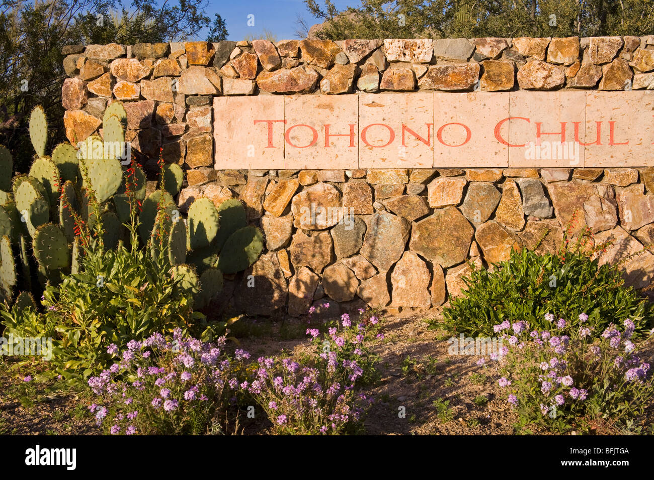 Tohono Chul Park, el Condado de Pima, en Tucson, Arizona, EE.UU. Foto de stock