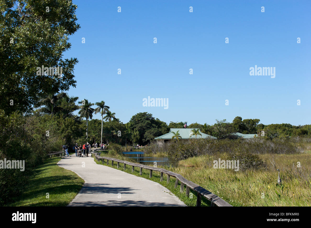 La Anhinga Trail, Royal Palm, el Parque Nacional Everglades, Florida, EE.UU. Foto de stock