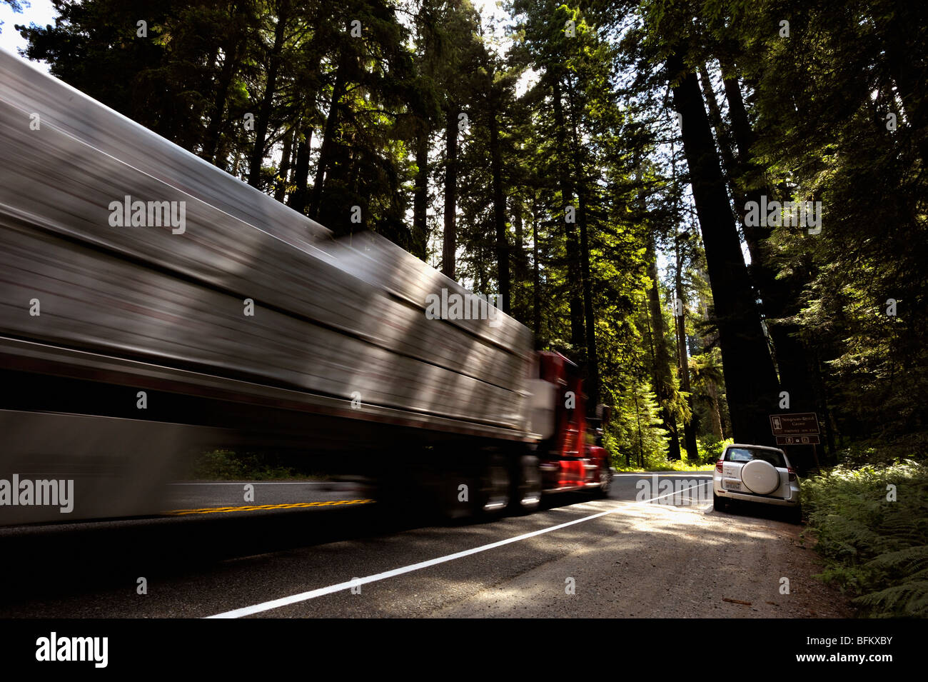 Carretilla adelantar a un automóvil estacionado en la costa norte de bosques de secoyas de California, EE.UU. Foto de stock