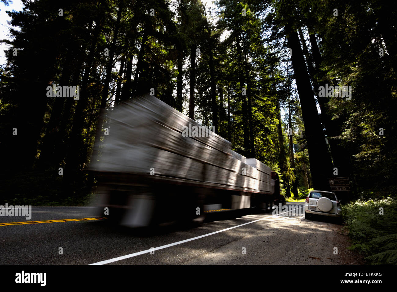 Carretilla adelantar a un automóvil estacionado en la costa norte de bosques de secoyas de California, EE.UU. Foto de stock