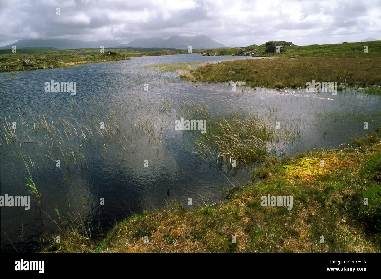 Manta bog ,roundstone, Connemara, Irlanda Foto de stock