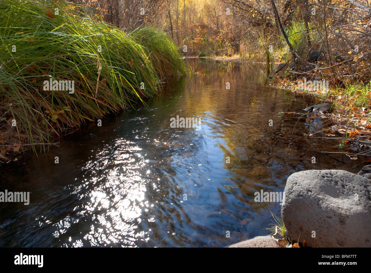 A lo largo de piscinas termales en el Muleshoe Creek Ranch Foto de stock