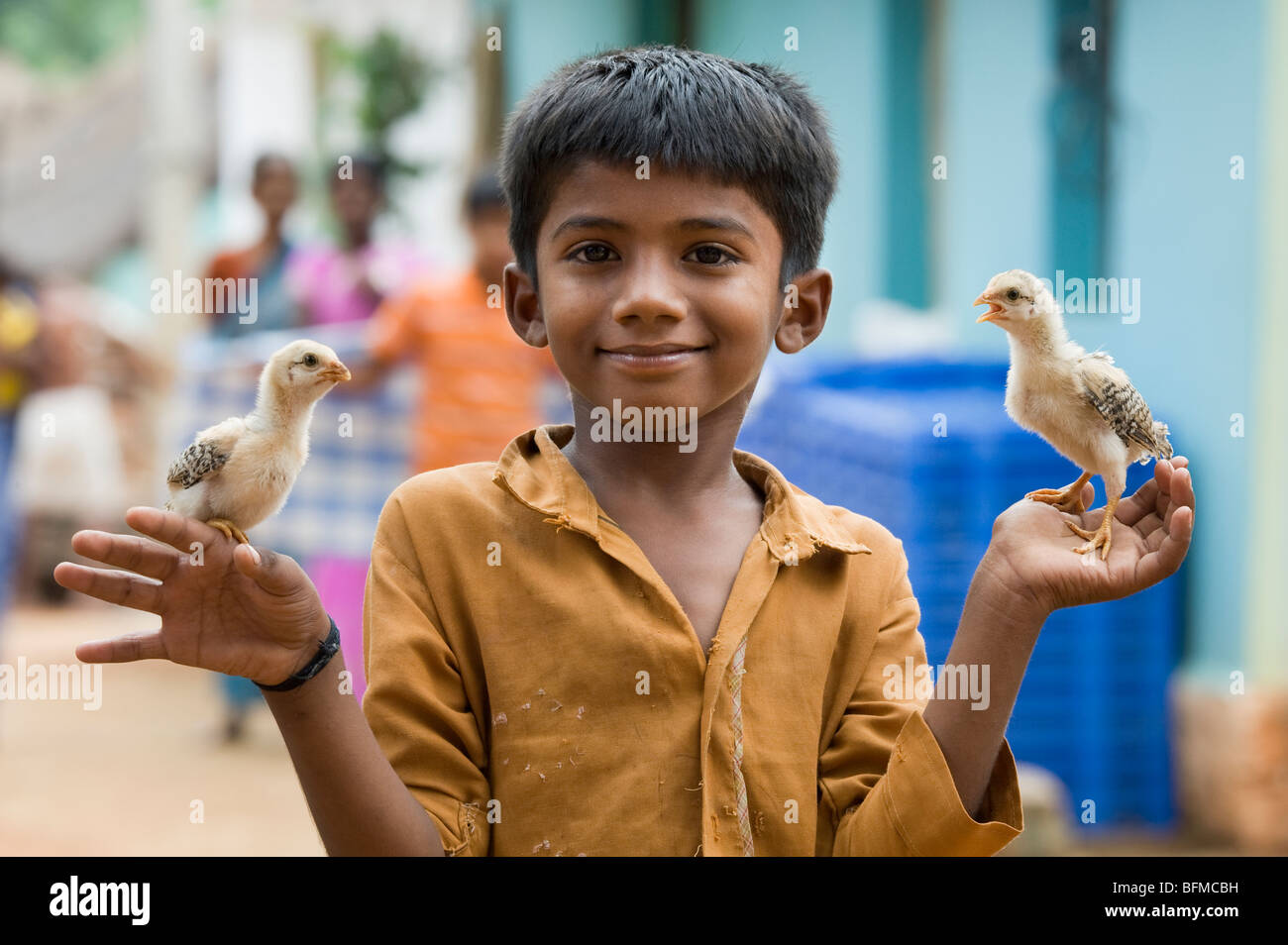 Joven indio con polluelos en la palma de sus manos. Nallaguttapalli, Andhra Pradesh, India Foto de stock