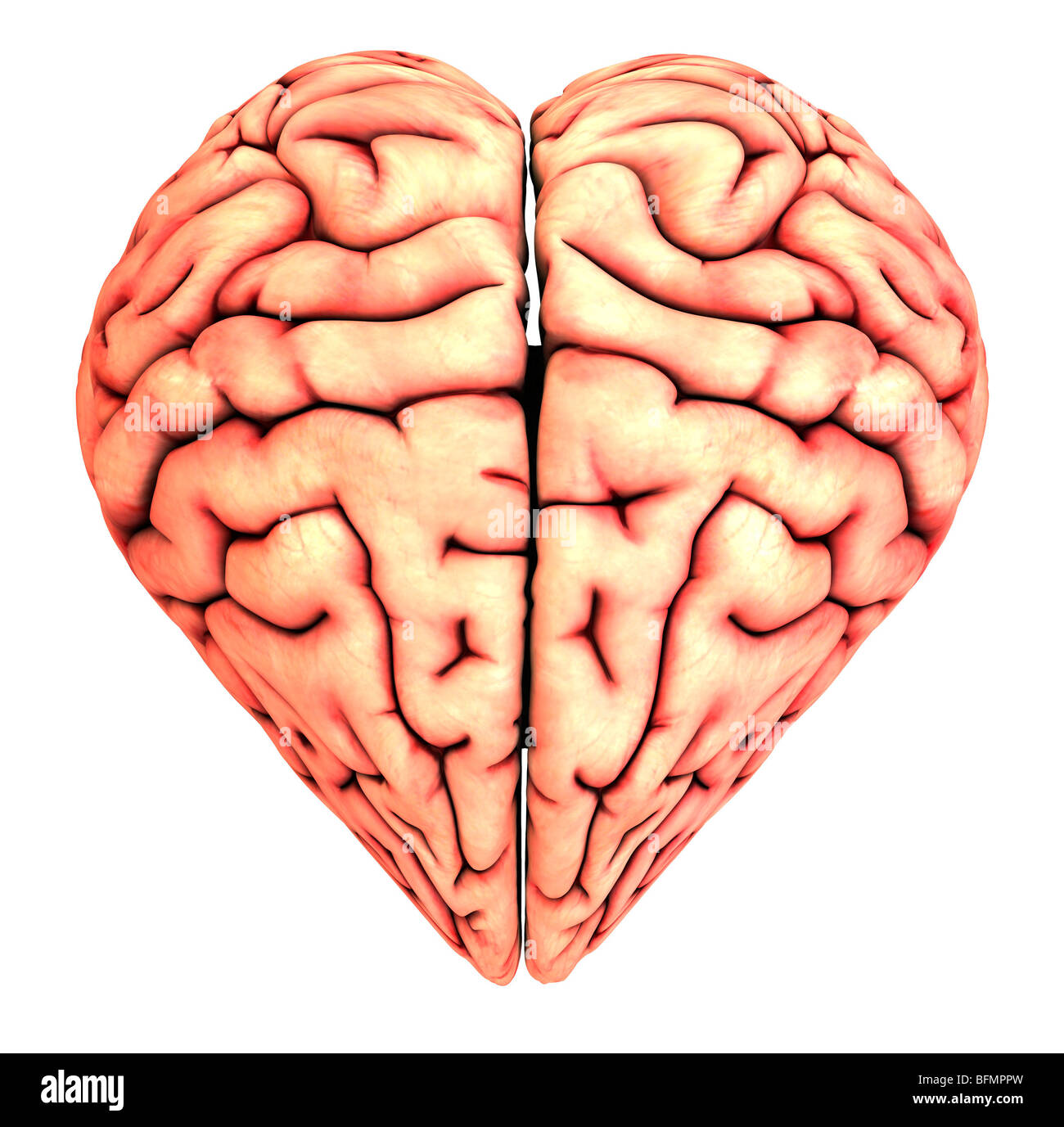 conductor Trastornado Insatisfactorio En forma de corazón, cerebro, obra conceptual Fotografía de stock - Alamy