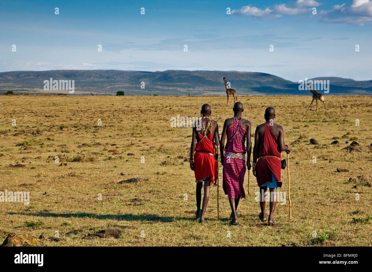 Kenya, distrito de Narok. Los hombres Masai camina a través de la corta llanuras herbosas cerca de Maasai Mara Game Reserve Foto de stock