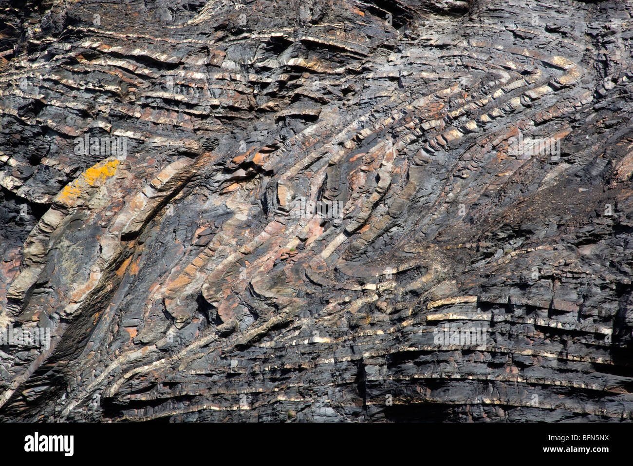 Ahoga; geología parte de Crackington Haven formación; Cornwall Foto de stock