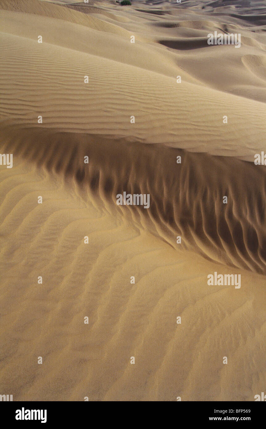 Desierto de Thar ; dunas de arena ; Khuri ; Jaisalmer ; Rajastán ; India ; Asia Foto de stock