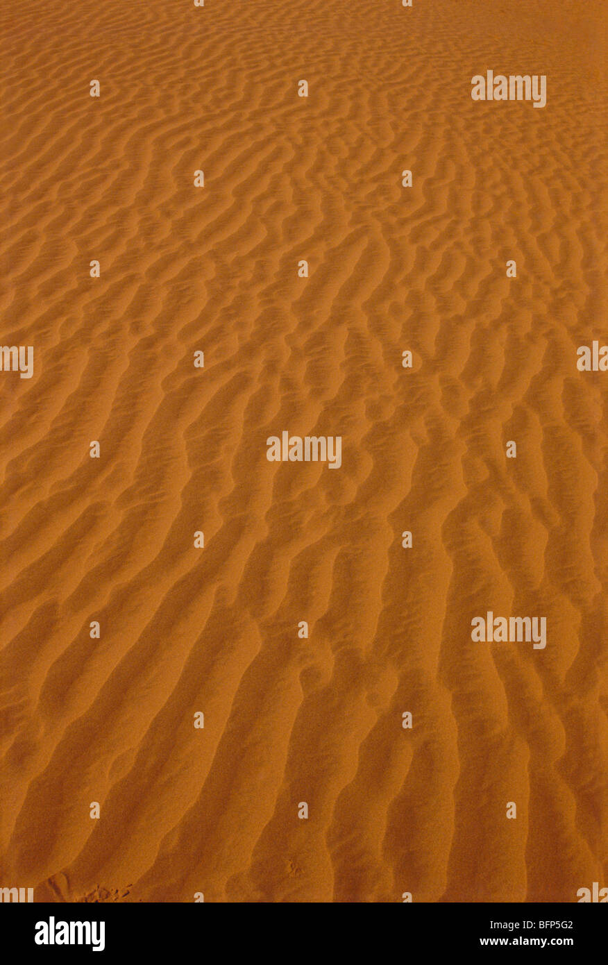 Dunas de arena del desierto ; Khudi ; Churu ; Rajastán ; India ; asia Foto de stock