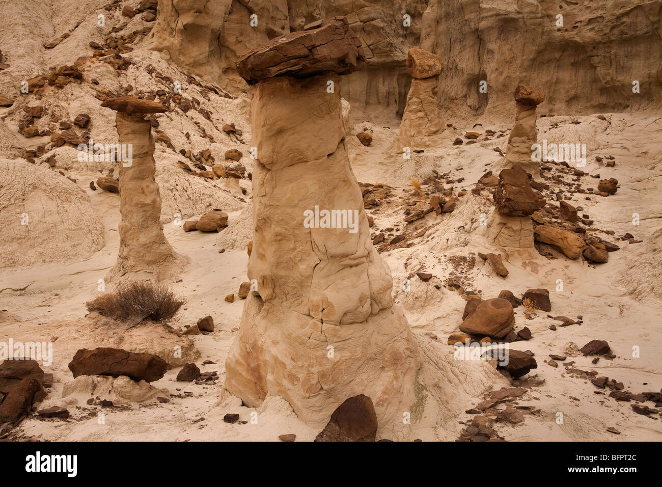 Formaciones geológicas de hoodoos en el Rimrock Hoodoo cuenca en terrenos públicos en Utah, EE.UU. Foto de stock