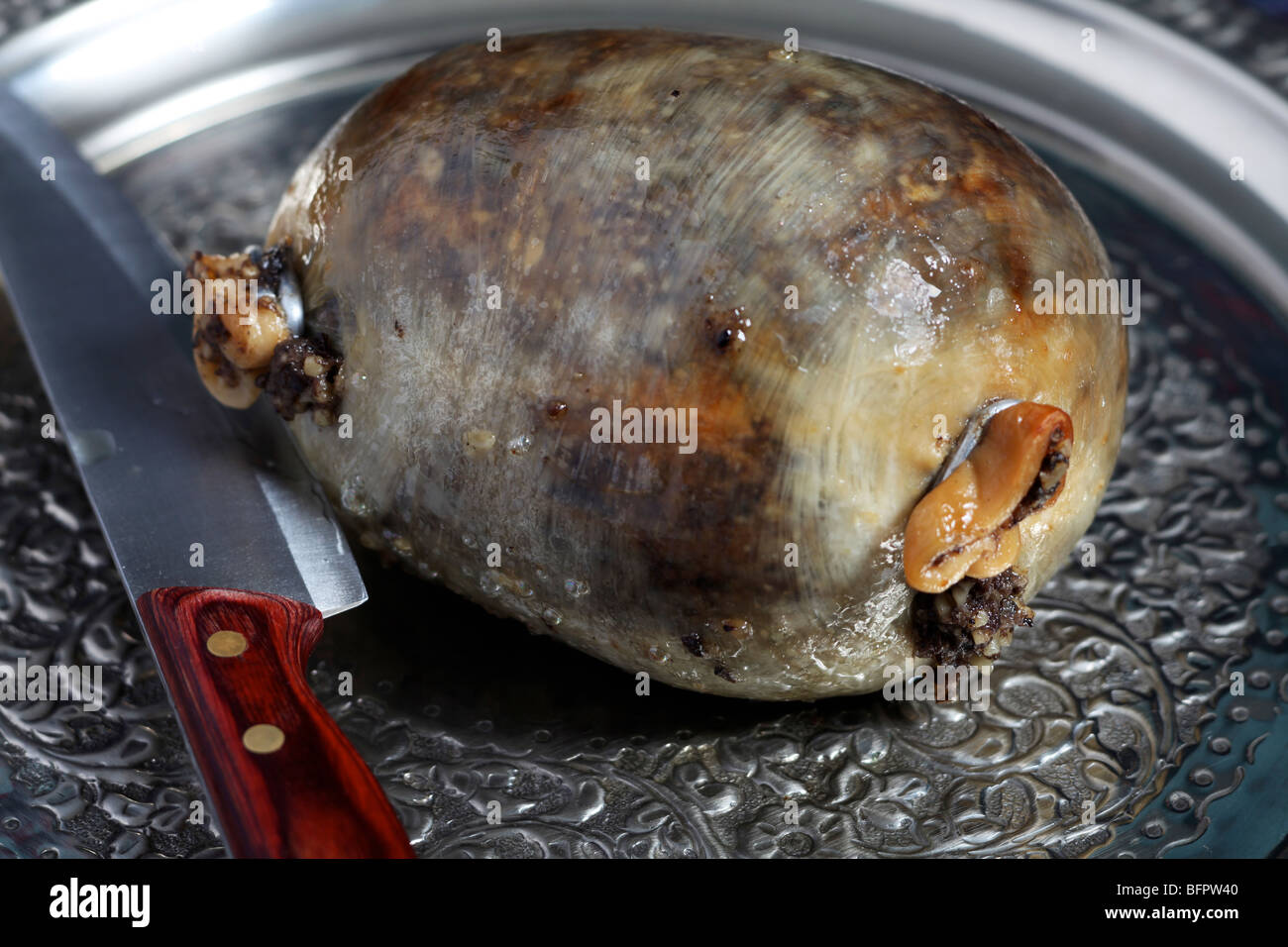 Un cocido haggis en una ornamentada bandeja metálica, como la que podría utilizarse para una Cena de Burns, con un cuchillo Foto de stock