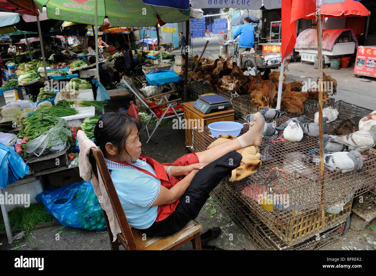 Un proveedor venta de palomas y aves de corral en un mercado abierto en Shanghai, China.08-Oct-2009 Foto de stock