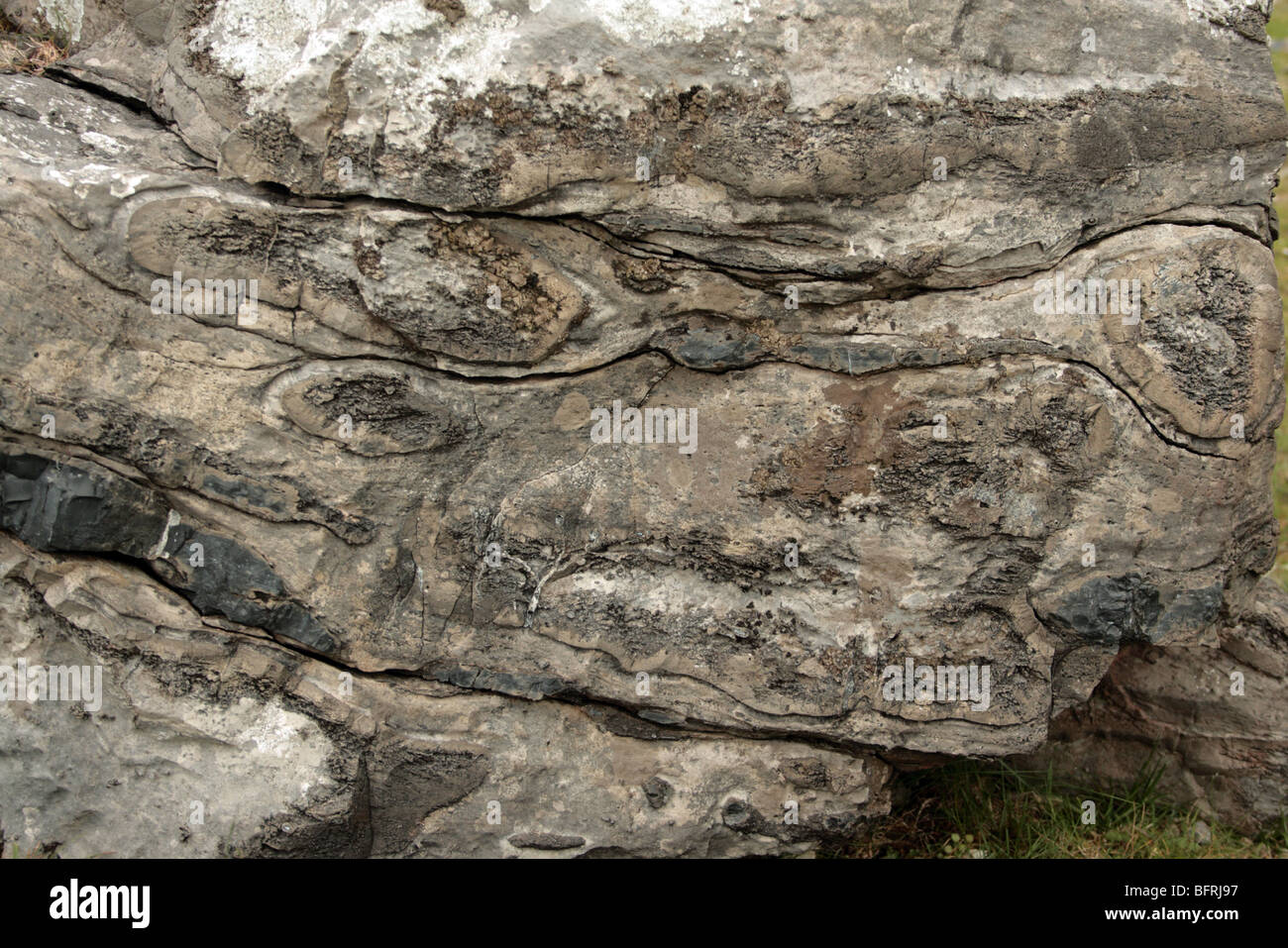 Formación geológica de un animal divertido en la roca. Foto de stock