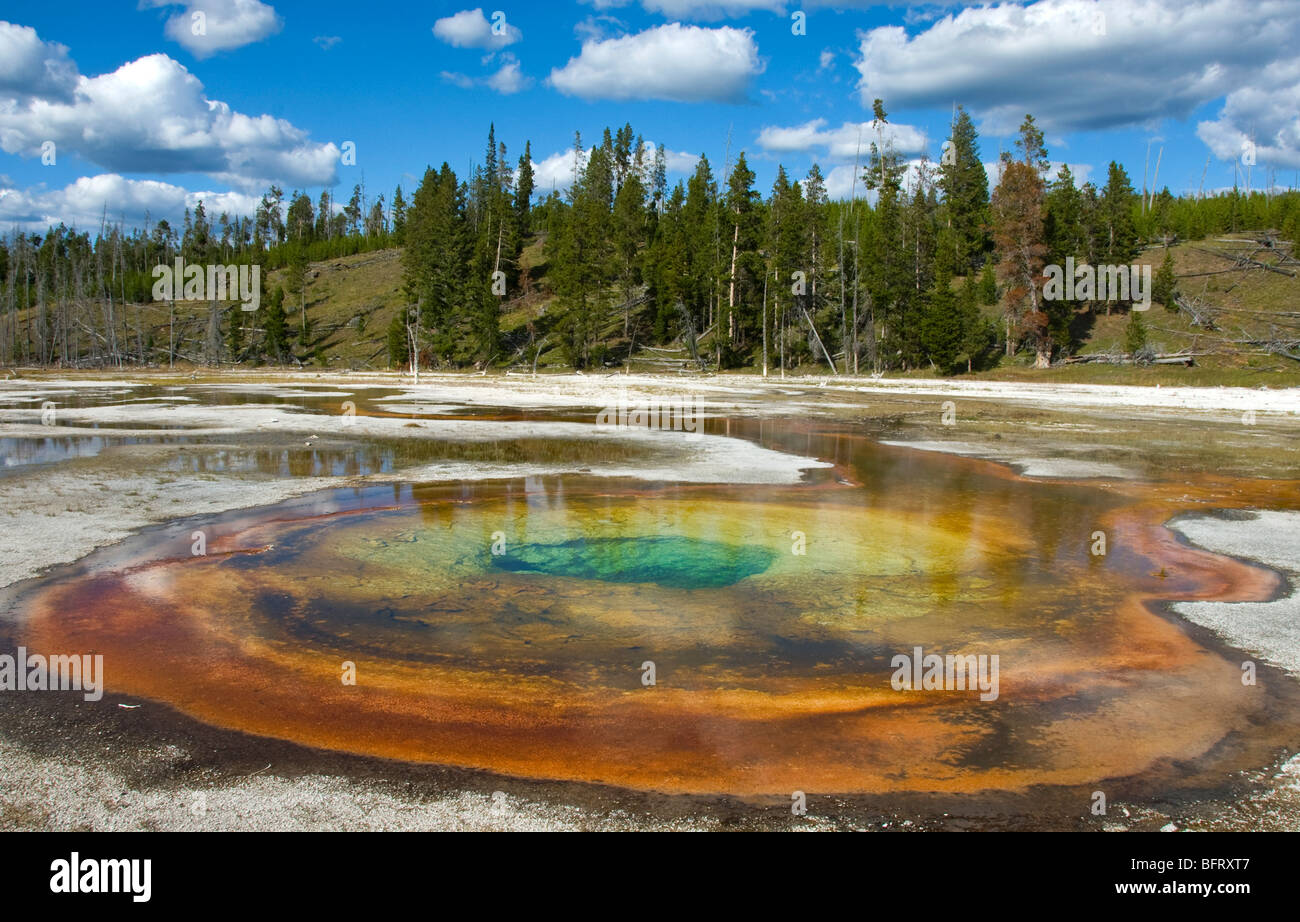 Tranquilo y sorprendentemente bella piscina cromática en el Parque Nacional de Yellowstone. Foto de stock