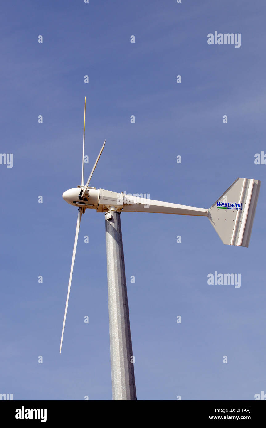 Las paletas de las turbinas eólicas máquina Westwind empresa producto Foto de stock