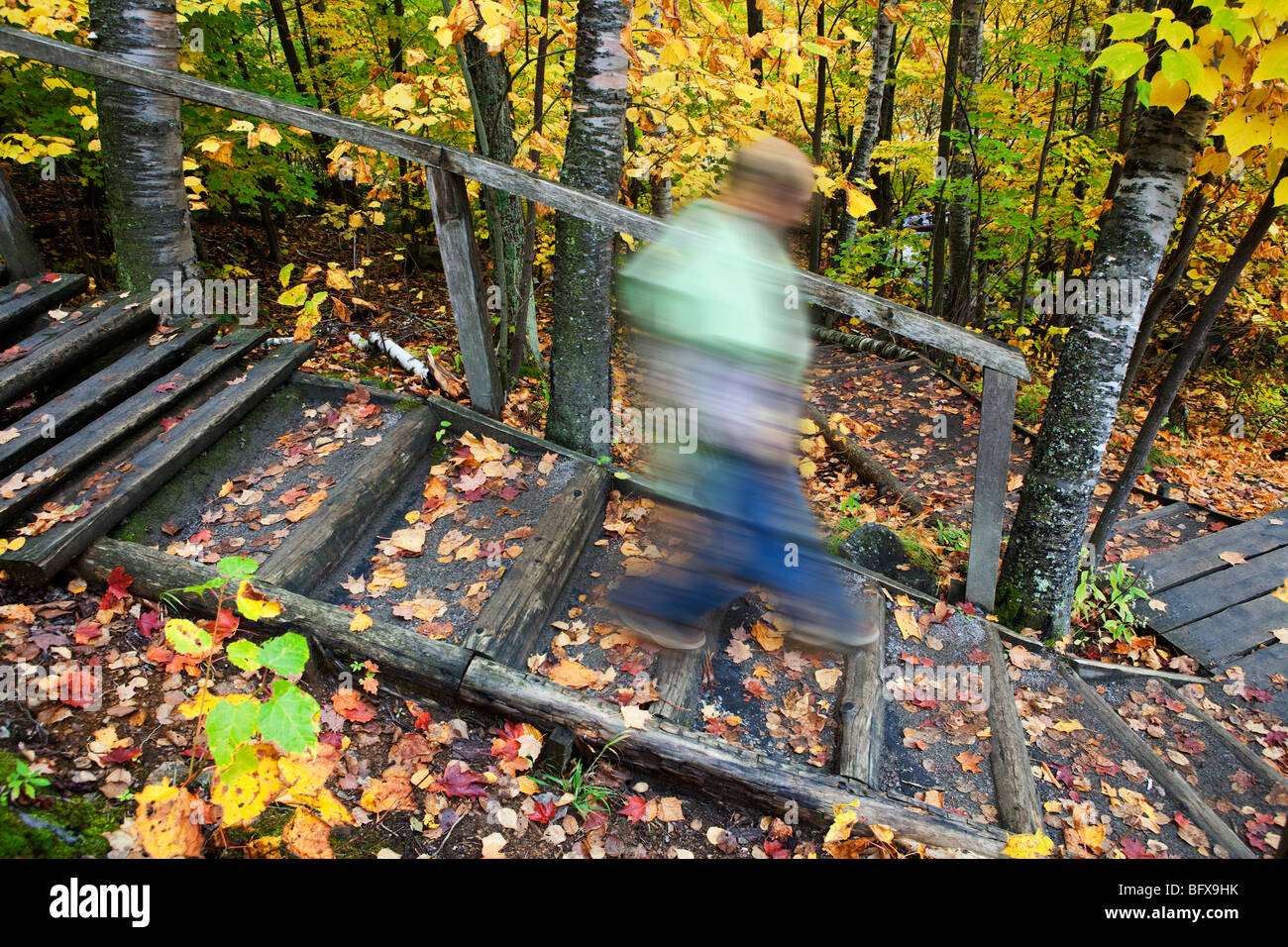 Tomar una caminata en el Bosque, Parque Nacional de Mont Tremblant, Quebec, Canadá Foto de stock