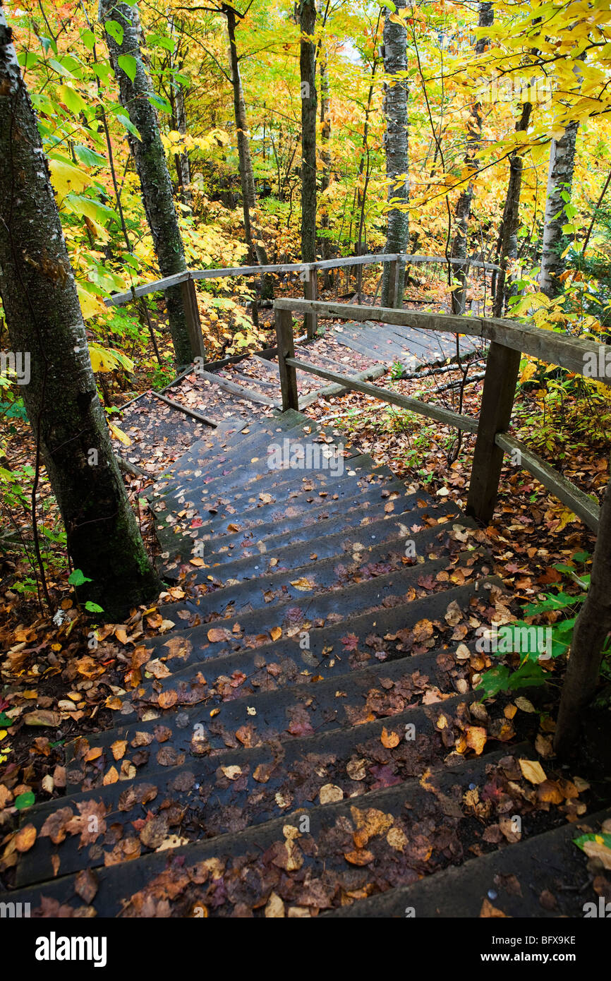 Un camino en el Bosque, Parque Nacional de Mont Tremblant, Quebec, Canadá Foto de stock