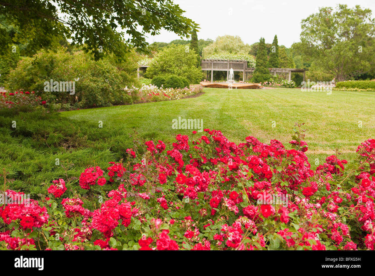 Jardín de rosas, el Jardín Botánico de Chicago, Chicago, Illinois, Estados Unidos de América Foto de stock