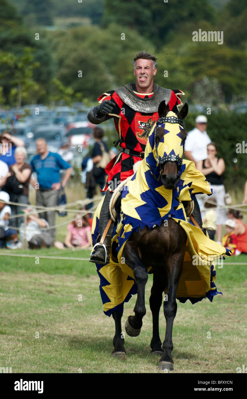 Joust Foto de stock