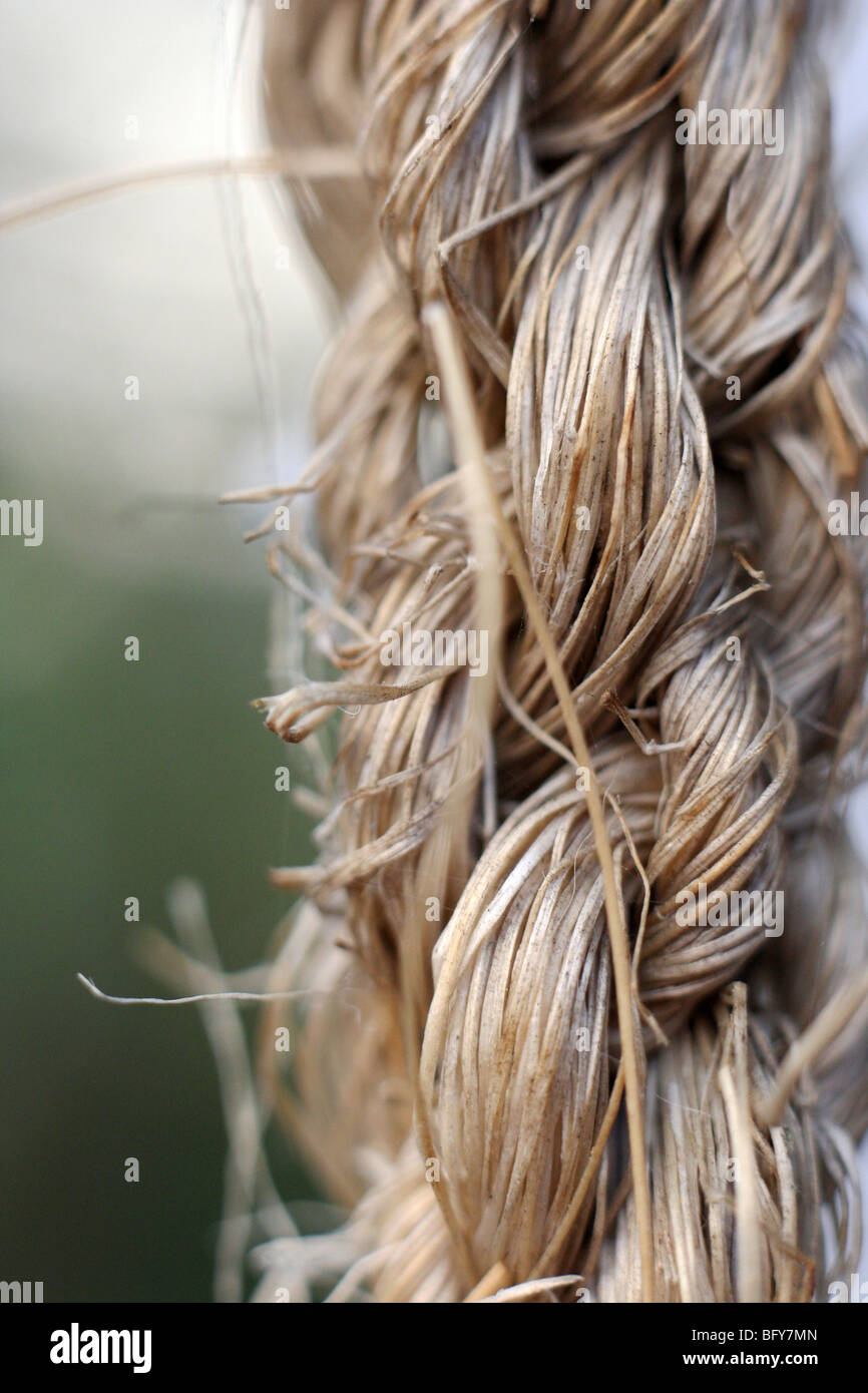 'Mecate', cuerda tradicional mexicana hecha con fibra natural