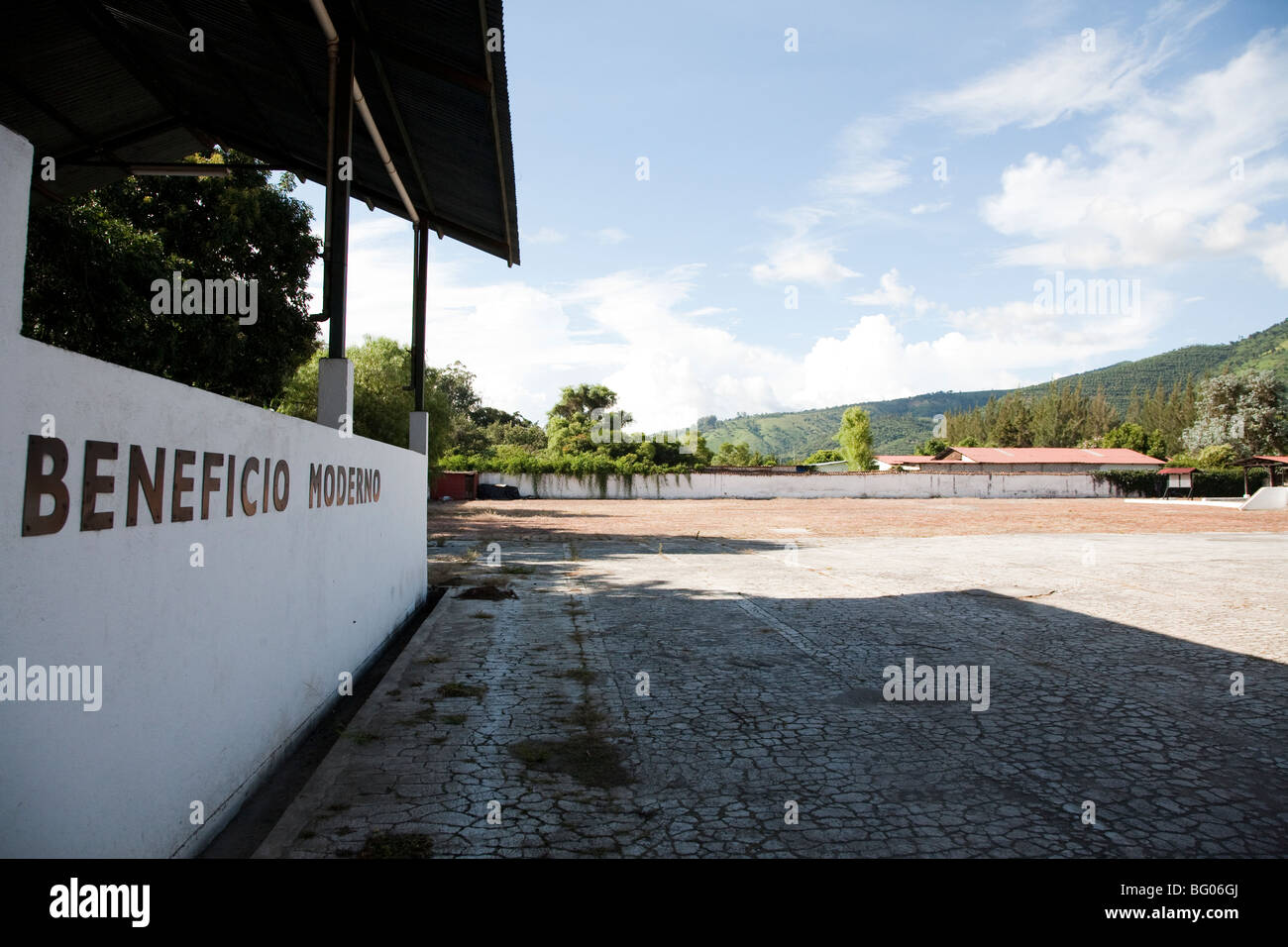 Beneficio de Cafe La Azotea, Jocotenango, Antigua, Guatemala Fotografía