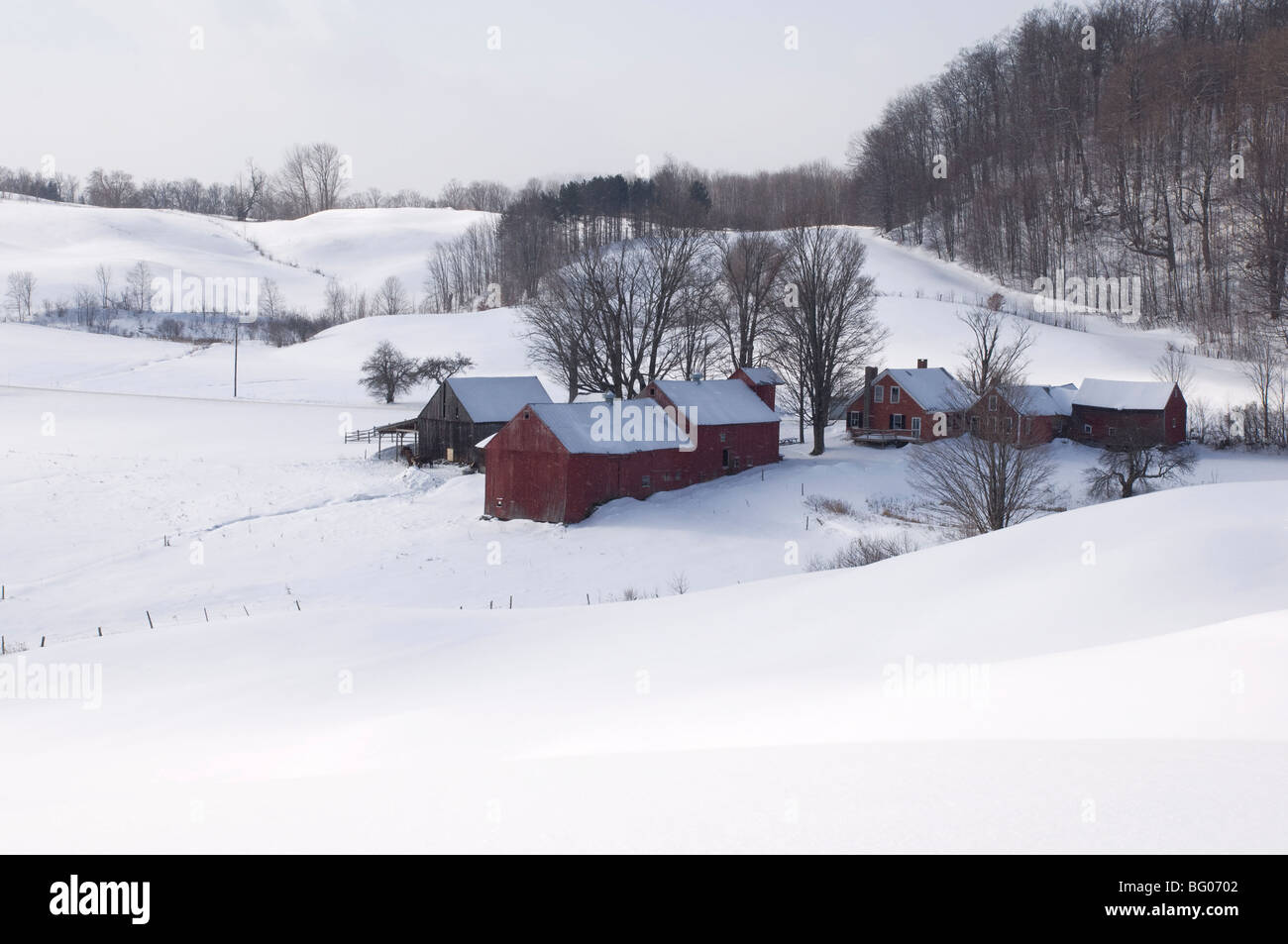 Una granja tradicional rodeada por campos cubiertos de nieve en el sur de Woodstock, Vermont, Nueva Inglaterra, los Estados Unidos de América Foto de stock