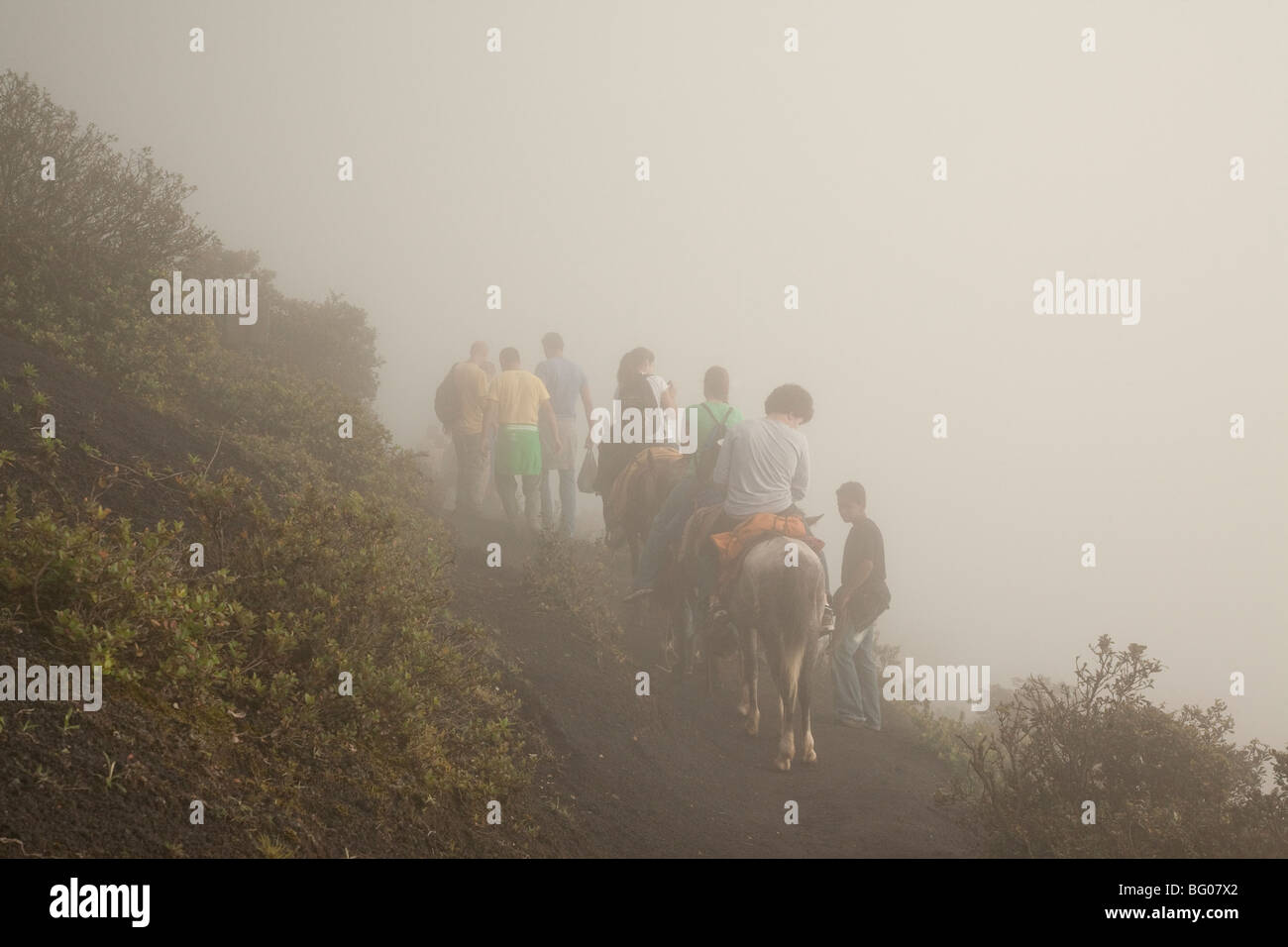 Trekking y cabalgatas hacia el Volcán Pacaya pico en una espesa niebla (mala visibilidad). El Parque Nacional Volcán Pacaya. Foto de stock