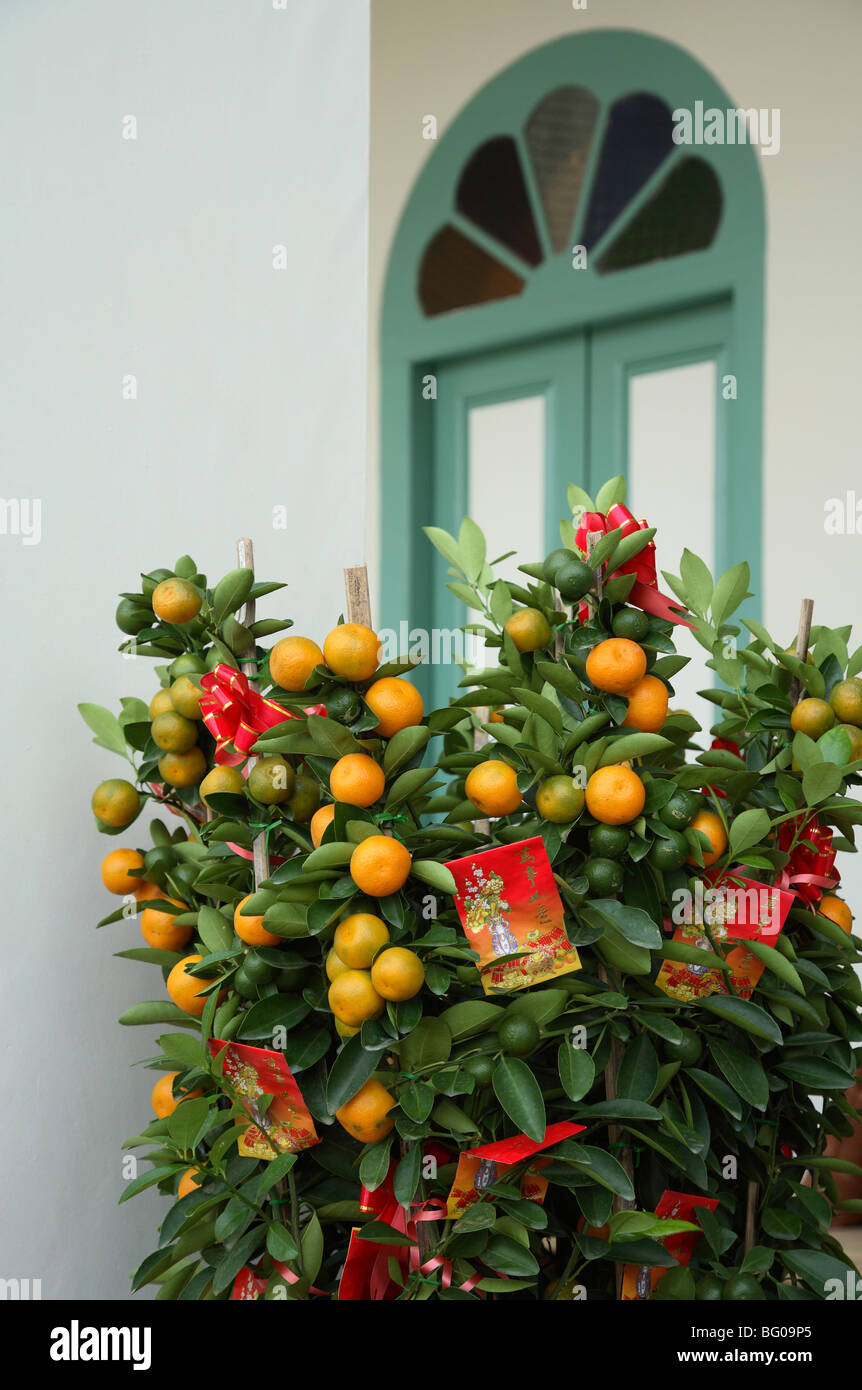 Año Nuevo chino decoración con naranjas Foto de stock