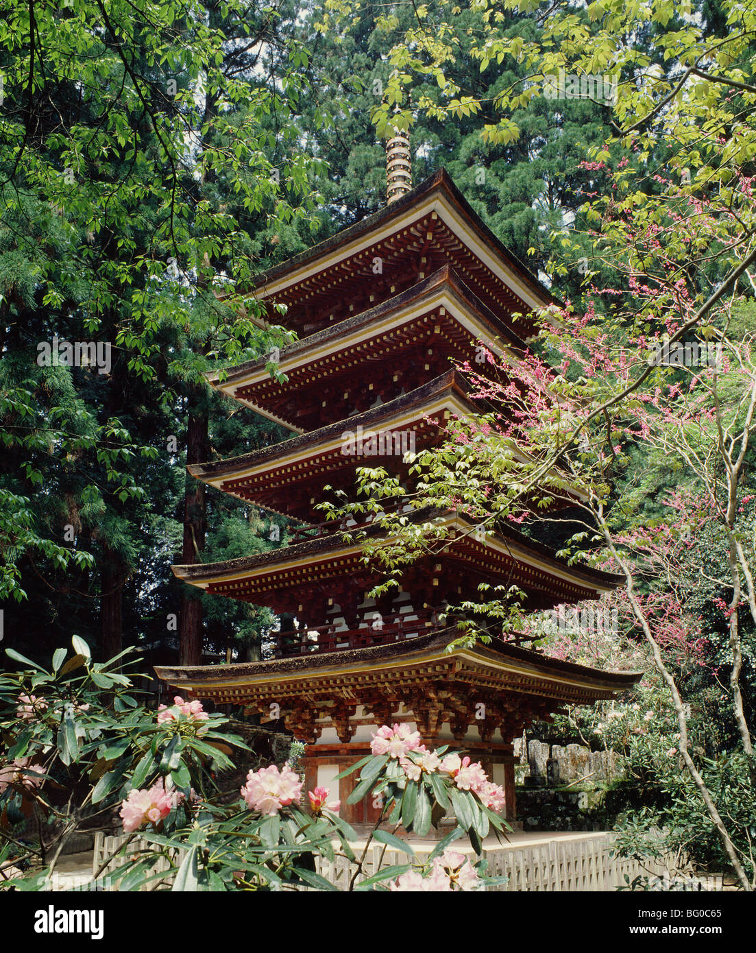 Muroji templo construido en la época Enryaku entre 780 y 805 AD, Nara, Japón, Asia Foto de stock