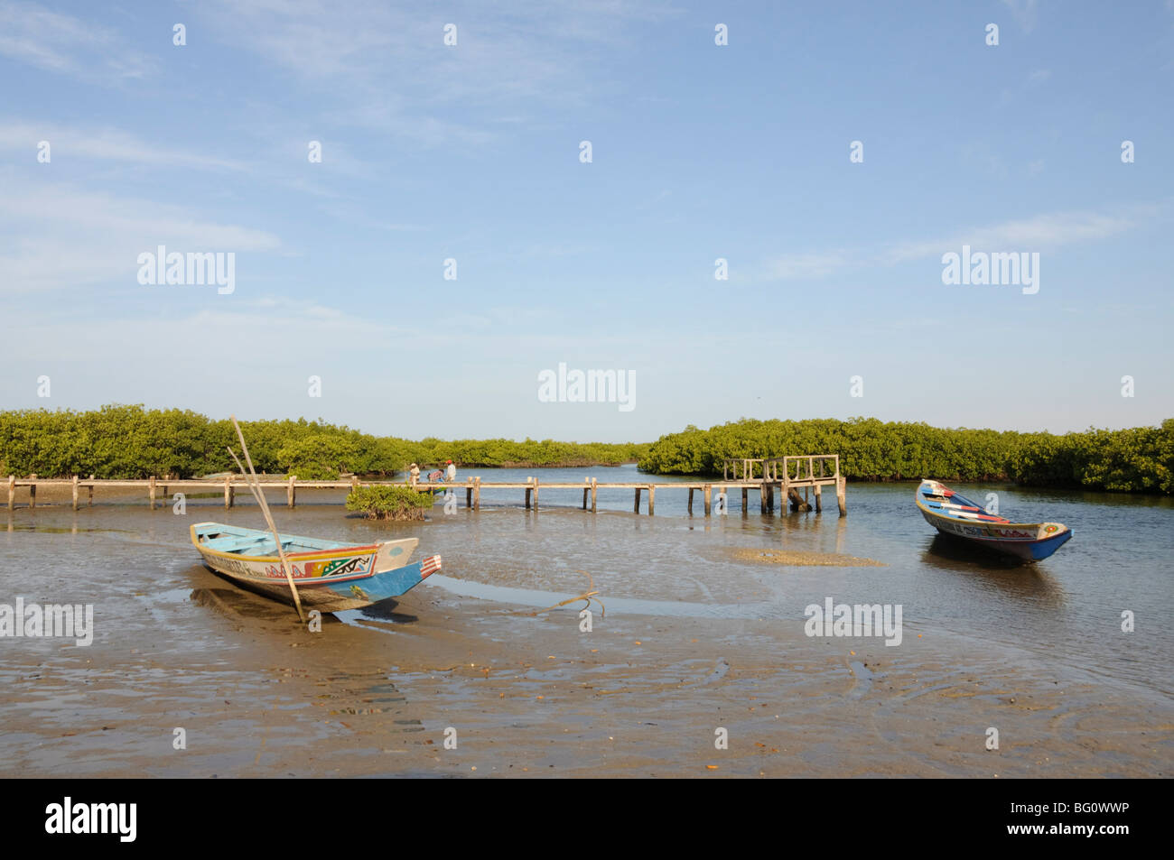 Piragua (barco de pesca) en el manglar remansos del Sine Saloum Delta, Senegal, África occidental, África Foto de stock