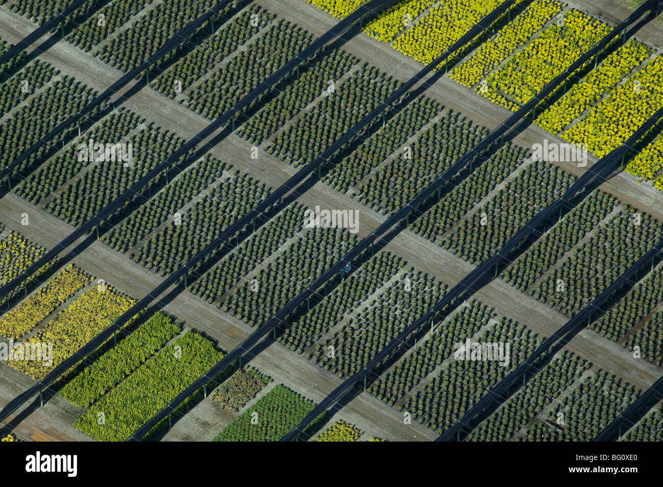 Vista aérea sobre viveros de California del norte del condado de Solano Foto de stock