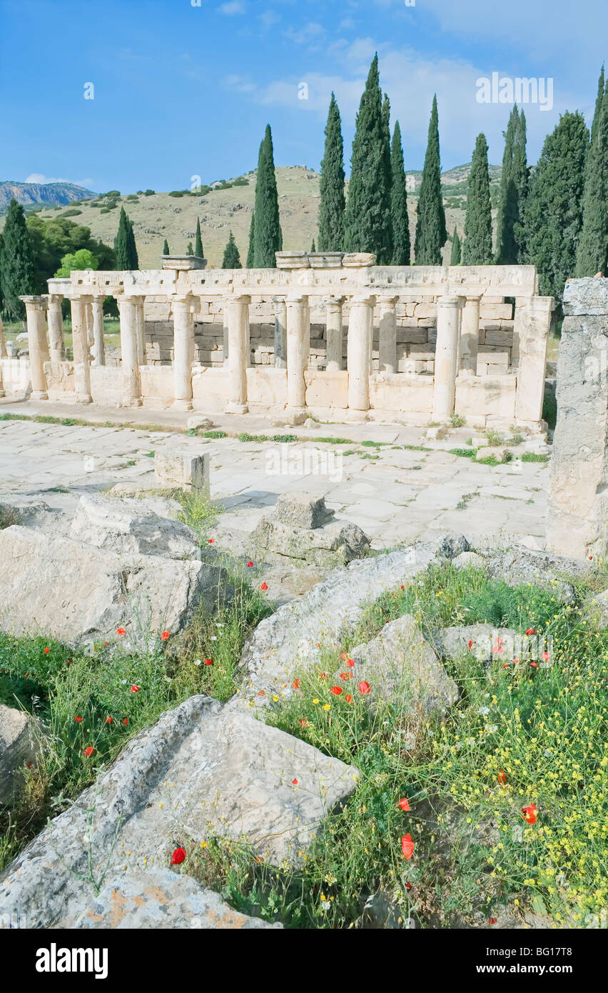 Antigua necrópolis, Monumental, Hierápolis, Pamukkale, Sitio del Patrimonio Mundial de la UNESCO, en Anatolia, Turquía, Asia Menor, Eurasia Foto de stock