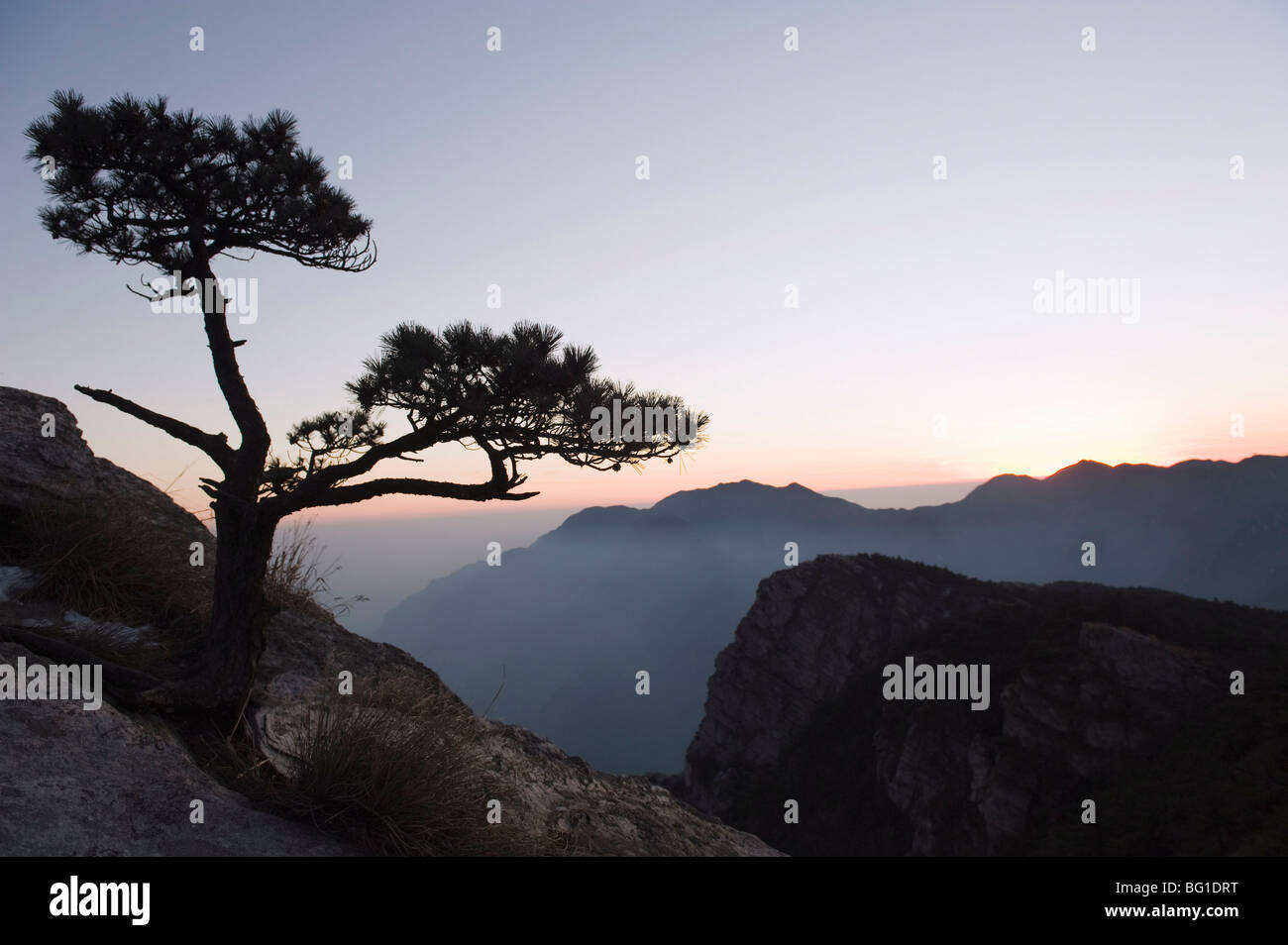 Pino siluetas al atardecer en la montaña Lushan, Sitio del Patrimonio Mundial de la UNESCO, provincia de Jiangxi, China, Asia Foto de stock