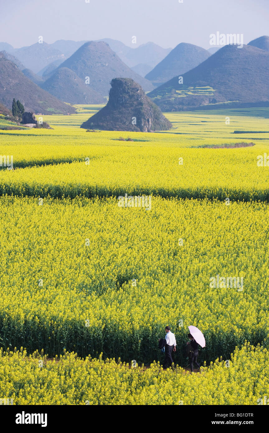 Una pareja caminando a través de campos de colza en flor en Luoping, provincia de Yunnan, China, Asia Foto de stock