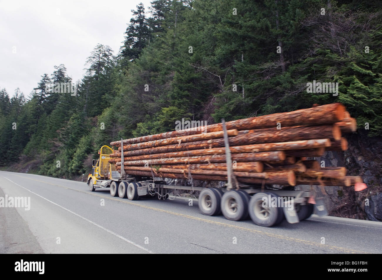 Camión de registro en MacMillan Provincial Park, la isla de Vancouver, British Columbia, Canadá, América del Norte Foto de stock