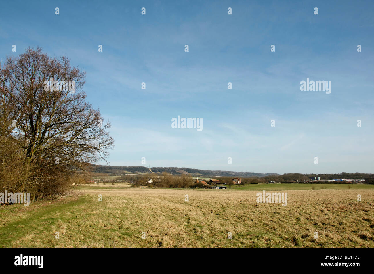 Una vista de un campo en el campo, con cielo azul Foto de stock