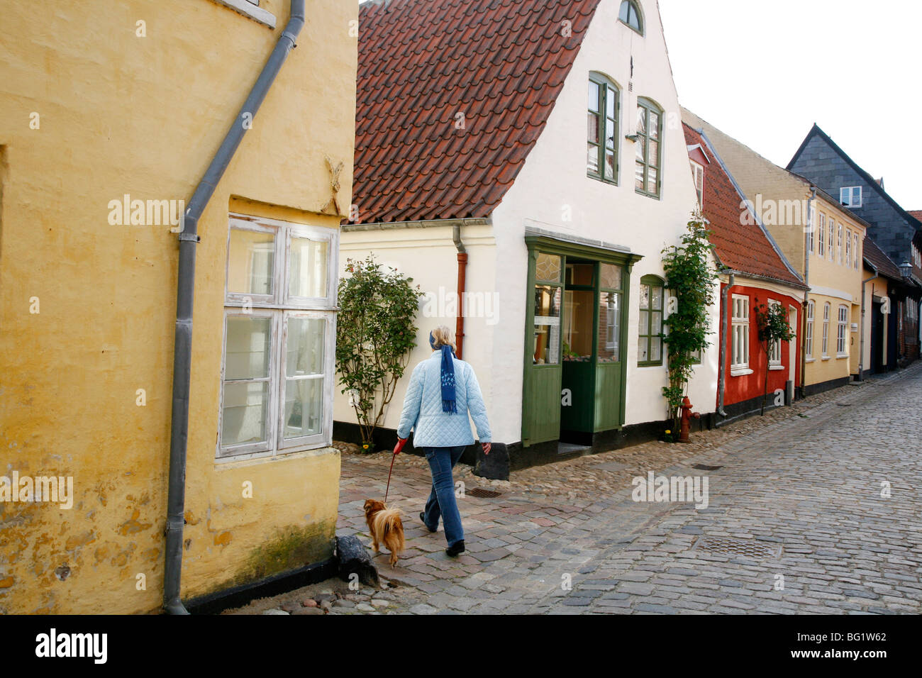 Mujer caminando con un perro en Ribe Ribe, centro histórico de Jutlandia, Dinamarca, Escandinavia, Europa Foto de stock