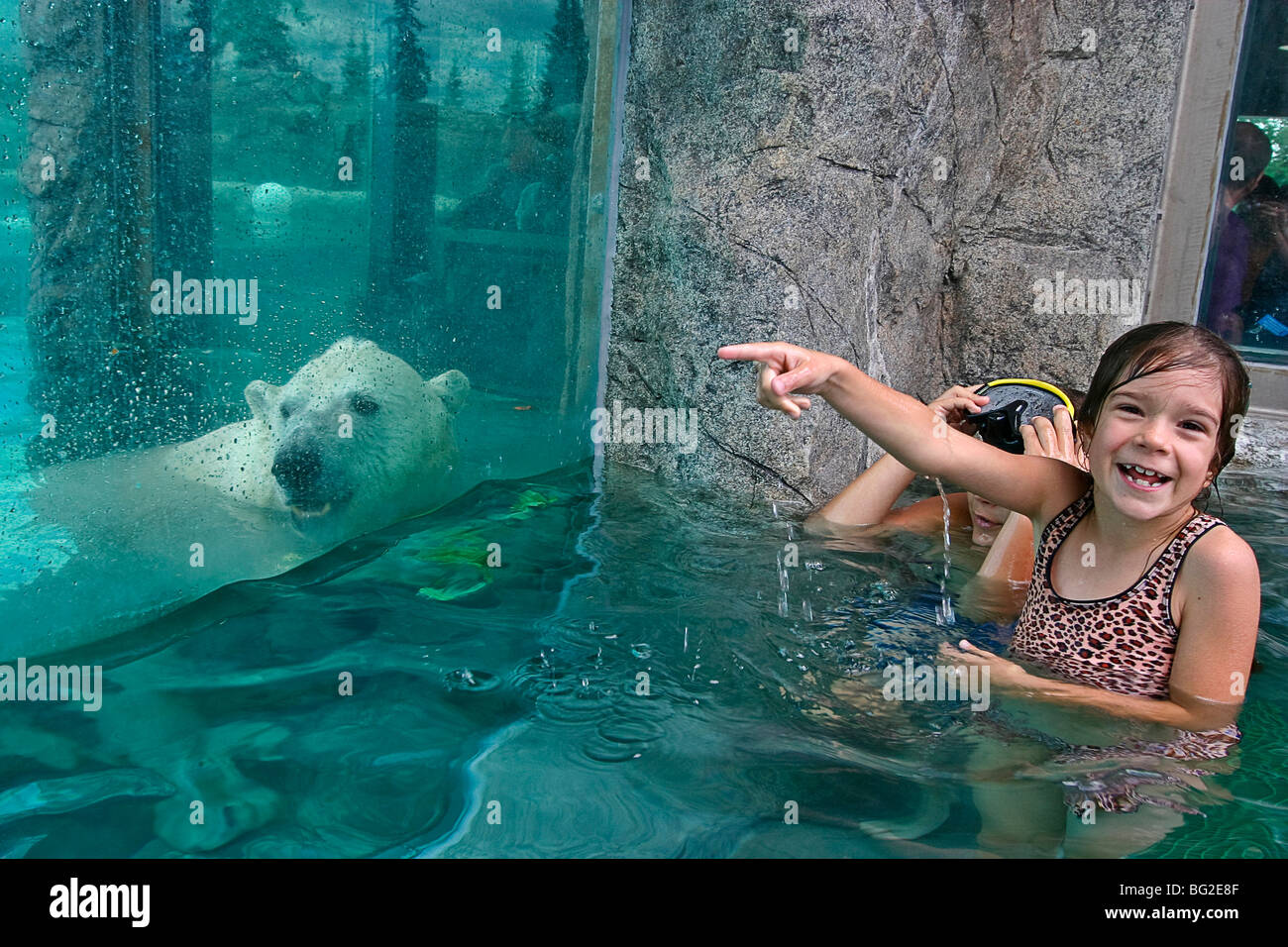 Bienes Lágrima cartel Cochrane polar bear habitat fotografías e imágenes de alta resolución -  Alamy