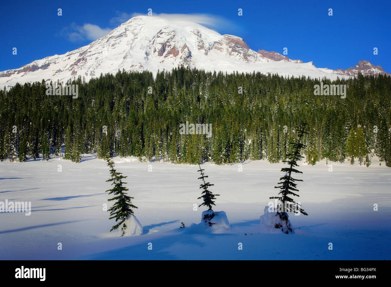 Mt Rainier en reflexión lagos con tres pequeños árboles Foto de stock