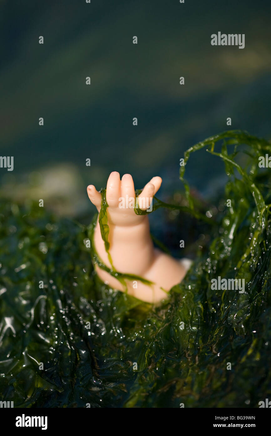 Rotura del brazo del muñeco a través de algas Fotografía de stock - Alamy