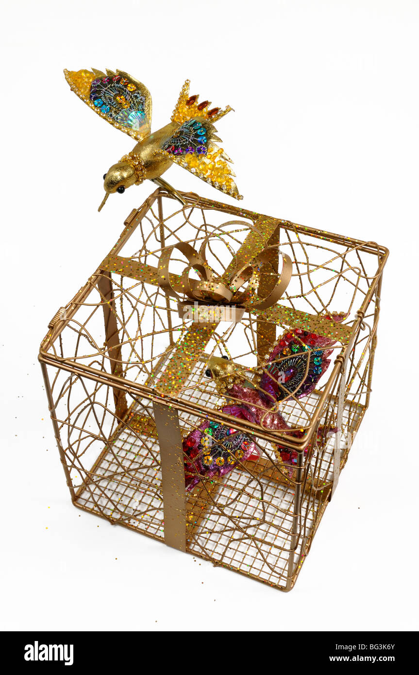 Modelos de colibrí y en una caja de regalo jaula dorada sobre fondo blanco. Foto de stock
