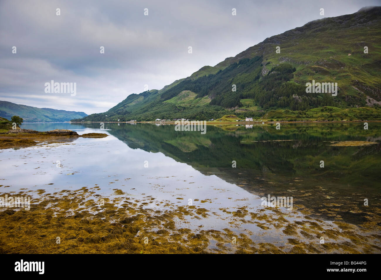 En Escocia, la región de tierras altas, Loch Duich Foto de stock