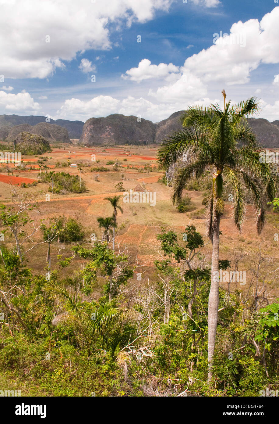 Valle de Viñales, provincia de Pinar del Río, Cuba, El Caribe Foto de stock