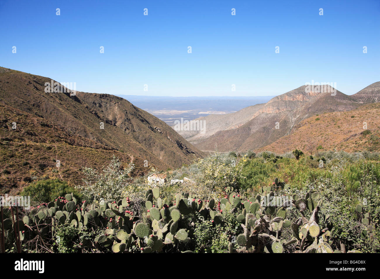 Real de Catorce, las montañas de la Sierra Madre Oriental, el estado de San Luis Potosí, México, América del Norte&#10;&&#10;#10; Foto de stock