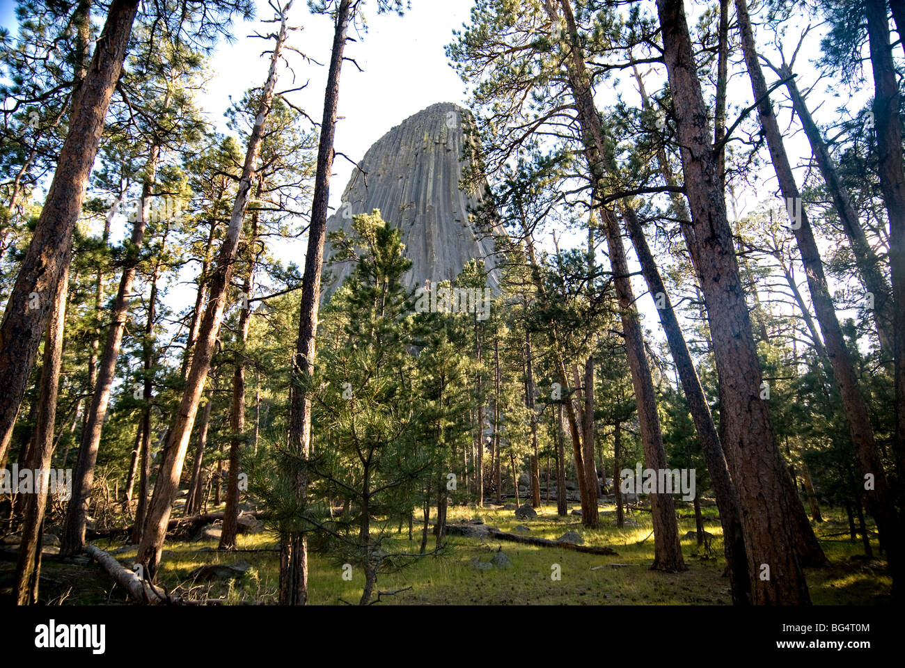 Devils Tower National Monument, Wyoming Foto de stock